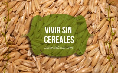 Vivir Sin Cereales