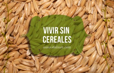 Vivir Sin Cereales