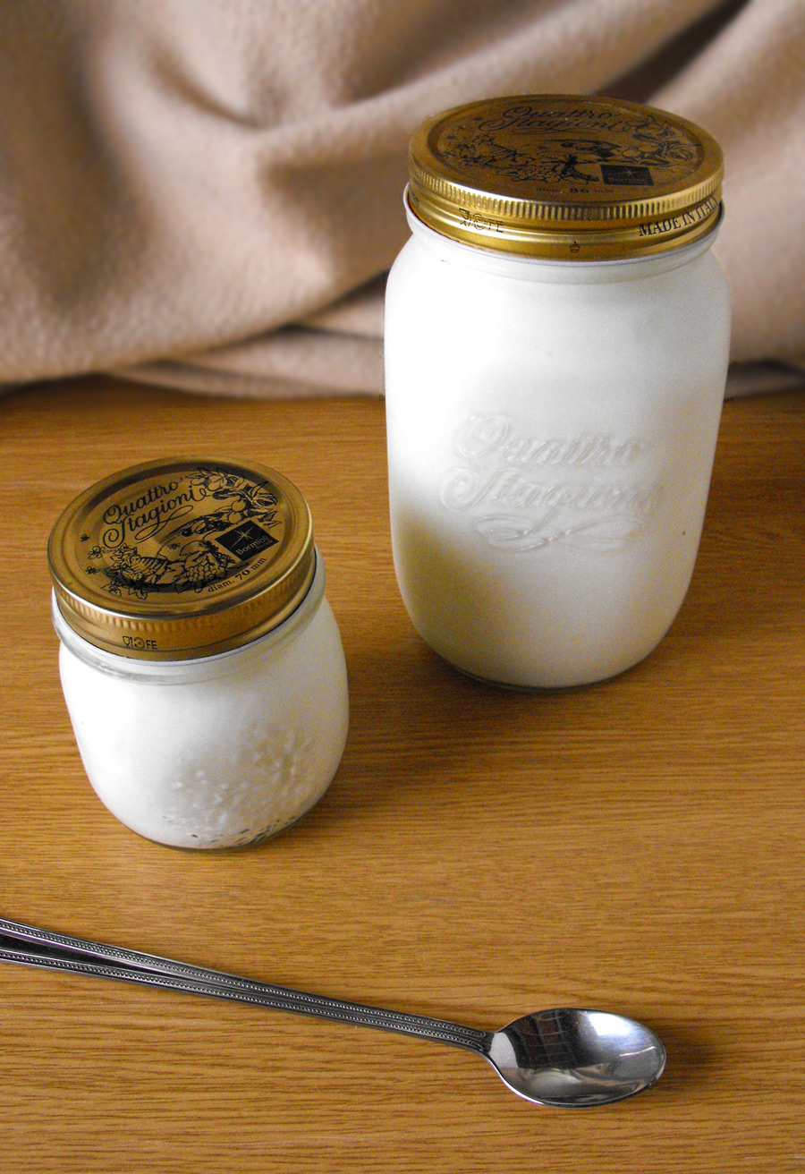 Como hacer yogur casero bajo en lactosa